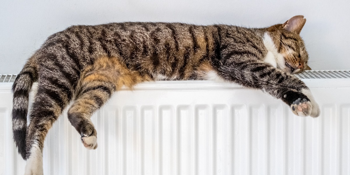 img blog calefaccion Talaiot